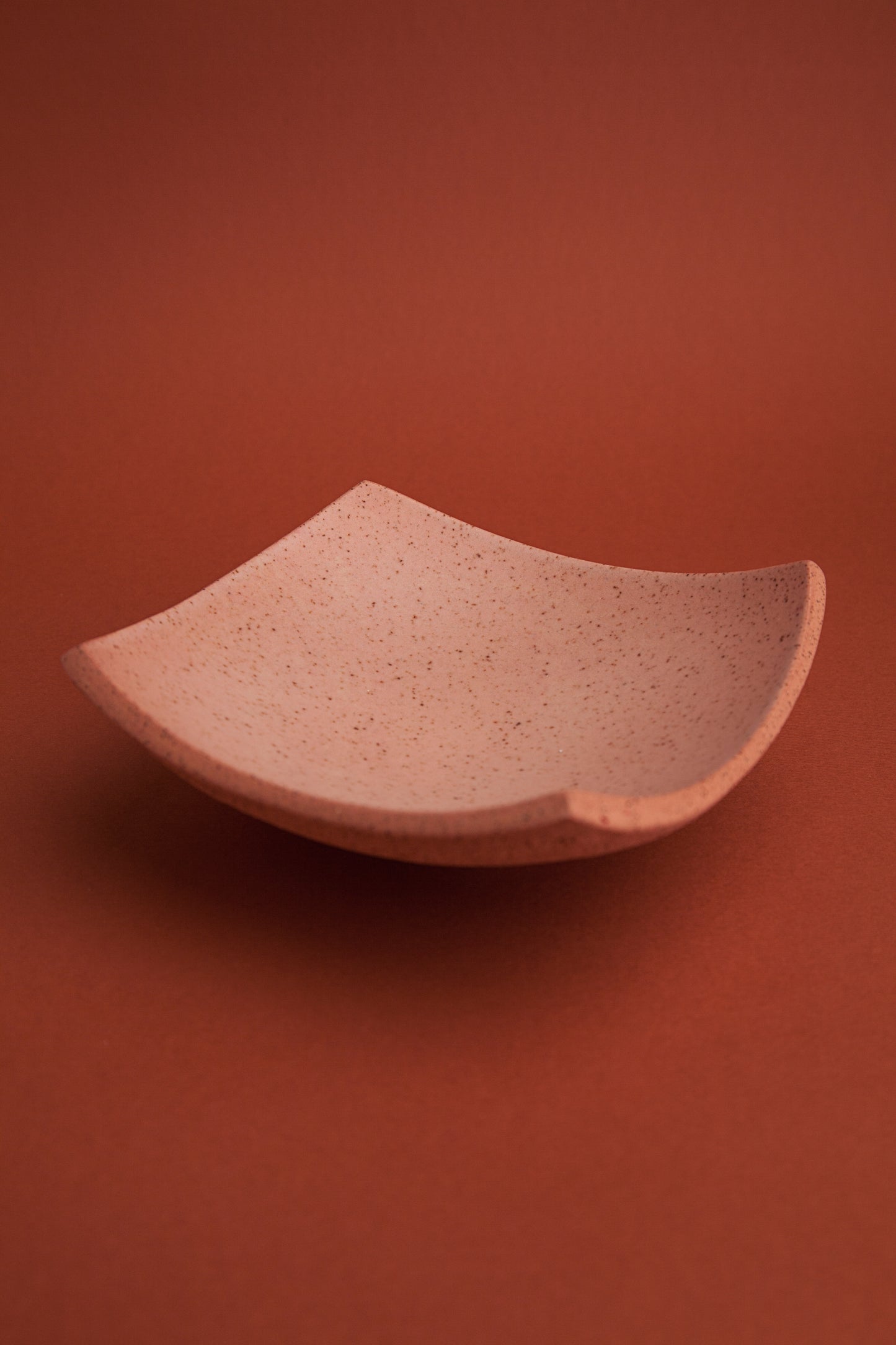 Square Dish | Assiette Carrée